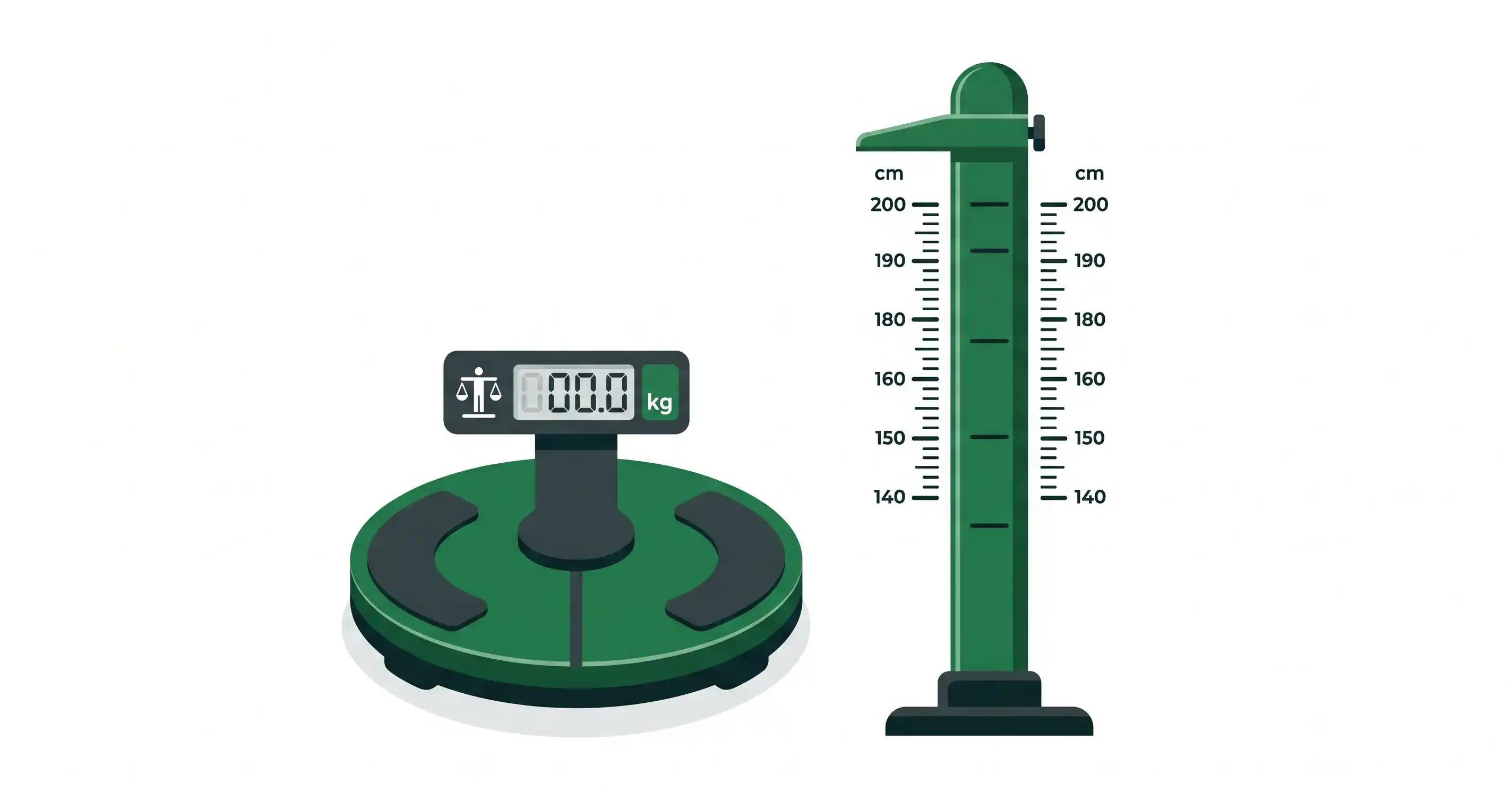How BMI is Measured